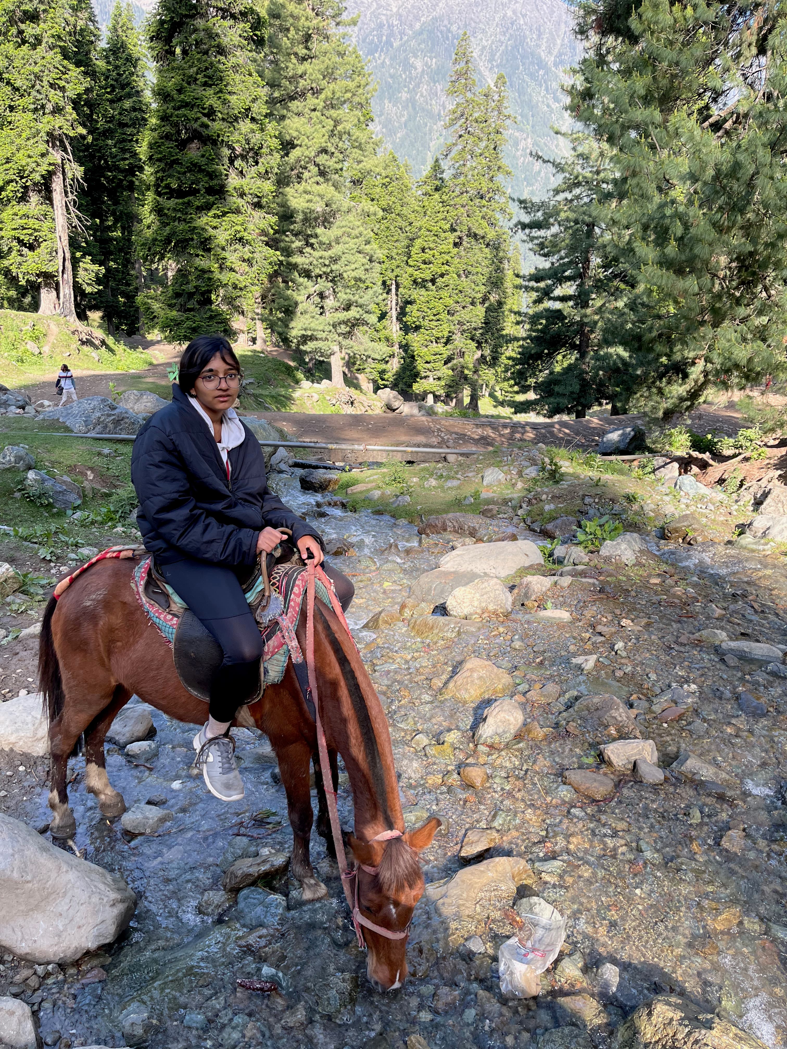 Enroute to Tulian Lake Trek, the horses stop by to drink water.