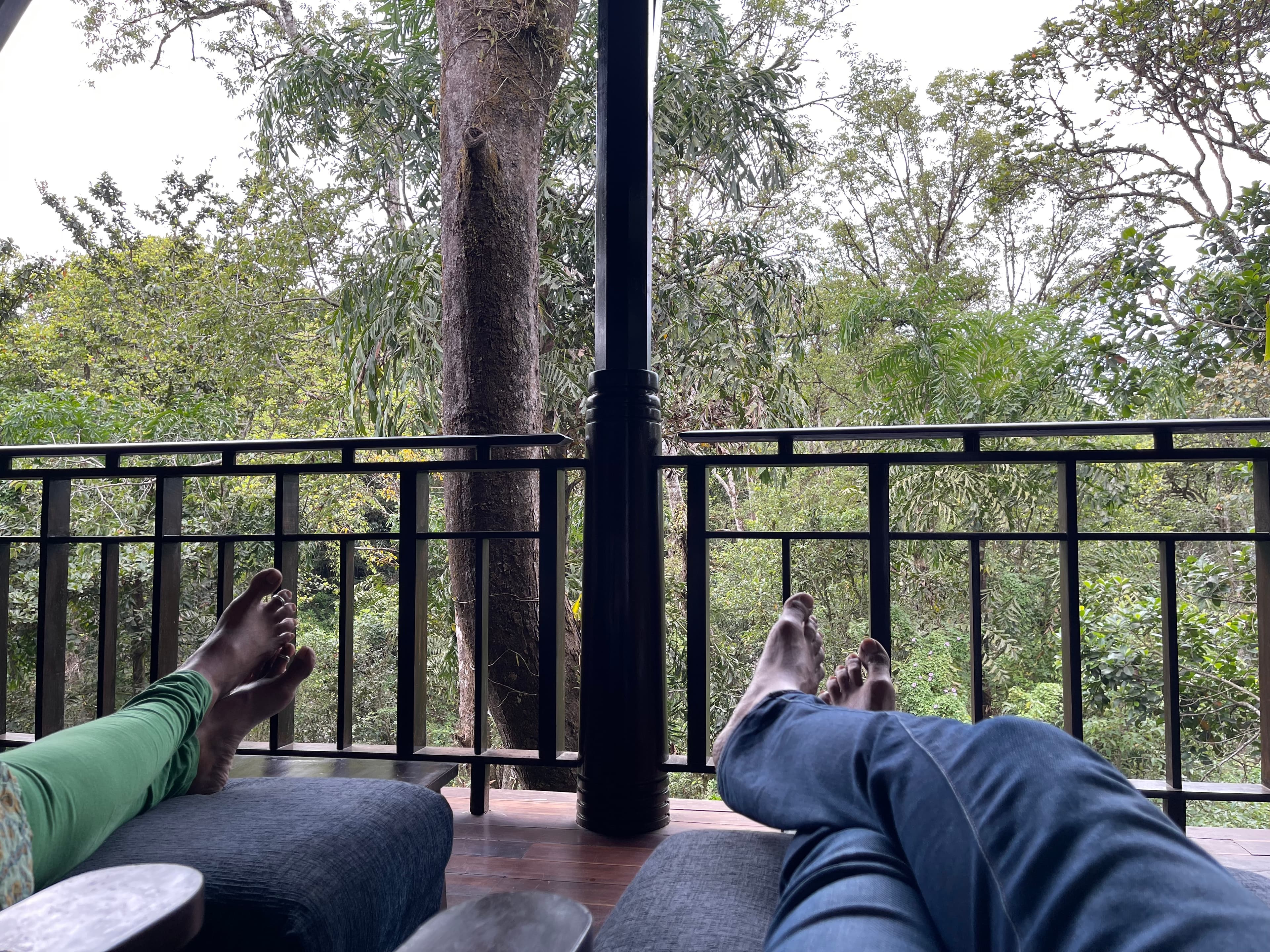 Coorg in April: Busting the Heat Myth and Spotting Birds of western ghats