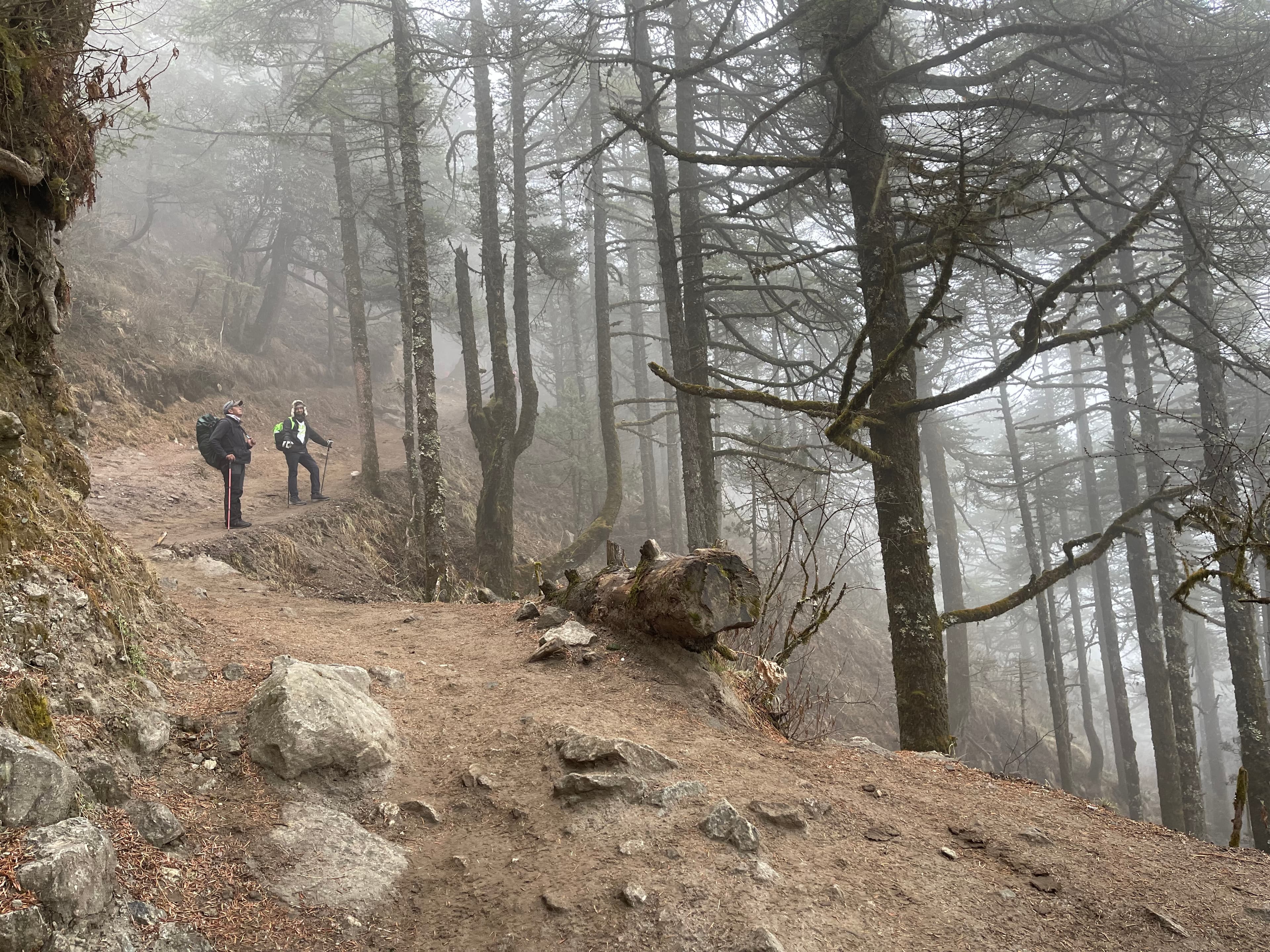 Everest Base Camp Trek - Day 4 - Namche Bazaar to Deboche